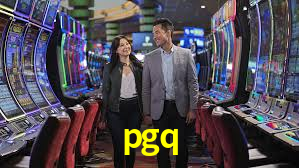 Programa VIP pgq